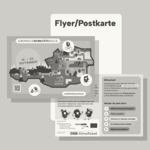 Flyer mit allgemeinen Infos (50 Stück)